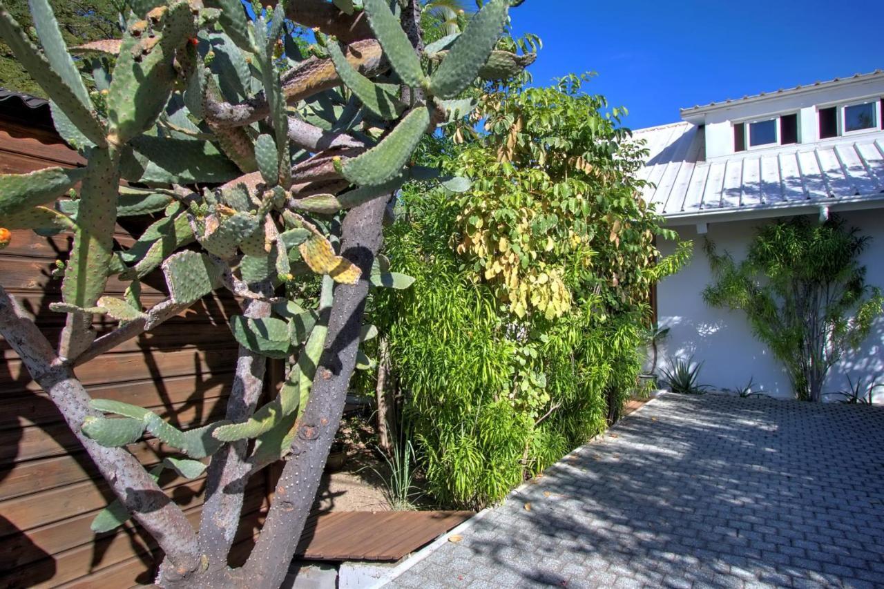 Villa L'Almendro - La Saline Les Bains Exterior foto